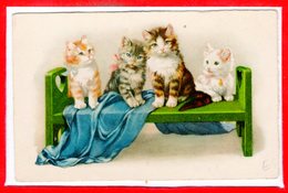 FANTAISIES - CHATS - - Cats