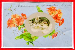 FANTAISIES - CHATS - - Katten