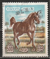 # Egitto 1978 - Arabian Horse (Equus Ferus Caballus) - Animali (Fauna) | Cavalli | Mammiferi - Gebraucht