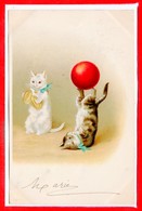 FANTAISIES - CHATS - - Cats