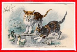 FANTAISIES - CHATS - - Katten