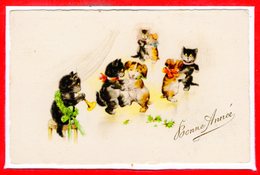 FANTAISIES - CHATS - - Cats