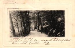 Delcampe - Detmold, Schanze, 1903 - Detmold