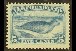 1880-82 5c Pale Dull Blue Common Seal, Perf 12, SG 48, Fine Mint With Original Gum. For More Images, Please Visit Http:/ - Other & Unclassified