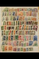 1918-1924 INTERESTING RANGES On Leaves & Stock Pages, Mint & Used Stamps With Only Light Duplication, Includes Various O - Fiume