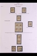 1891 2½d On 8d Grey-brown, SG 47, A Study Page With "Specimen" Overprint (2, One Misplaced To Prove The Surcharge And Ov - Grenade (...-1974)
