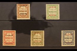 OCCUPATION OF PALESTINE POSTAGE DUE. 1948 Multi Script Wmk - Perf 14 Set, SG PD 17/21,, The Scarce 10m Being Never Hinge - Jordanië