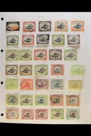 1901-1941 COLLECTION On Leaves, Mint & Used, Inc 1901-05 Wmk Horiz To 1s (x2, One Mint) Inc 1d Used And Wmk Vert Inc ½d  - Papua New Guinea