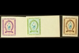 1964 IMPERF VARIETIES 15th Anniv Of Declaration Of Human Rights, Complete Set, As SG 493/5, Variety IMPERF. 3p And 6p Ma - Saudi-Arabien