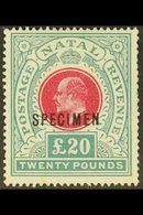 NATAL 1902 £20 Red & Green, Wmk Crown CC, "SPECIMEN" Overprint, SG 145bs, Perf Faults At Right, No Gum, Cat.£650. For Mo - Sin Clasificación