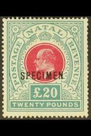 NATAL 1902 £20 Red & Green, Wmk Crown CC, "SPECIMEN" Overprint, SG 145bs, Perf Faults At Right, No Gum, Cat.£650. For Mo - Zonder Classificatie