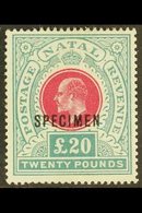 NATAL 1902 £20 Red And Green, Ed VII, Ovptd "Specimen", SG 145bs, Very Fine Mint, Large Part Og. For More Images, Please - Ohne Zuordnung