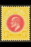 NATAL 1902-03 4s Deep Rose And Maize, SG 139, Fine Mint. For More Images, Please Visit Http://www.sandafayre.com/itemdet - Ohne Zuordnung