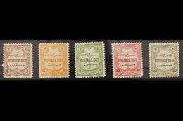POSTAGE DUE 1944-49 Complete Set, SG D244/48, Never Hinged Mint (5 Stamps) For More Images, Please Visit Http://www.sand - Giordania