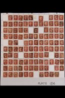 1864-79 PENNY RED PARTIAL PLATE RECONSTRUCTION PLATE 124 - A Partly Complete Used Reconstruction With 206 Of The 240 Che - Other & Unclassified