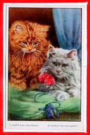 FANTAISIES - CHATS - - Cats