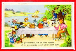 FANTAISIES - CHATS - - Katten