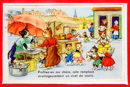 FANTAISIES - CHATS - - Katten