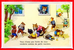 FANTAISIES - CHATS - - Katten