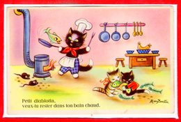 FANTAISIES - CHATS - - Katten