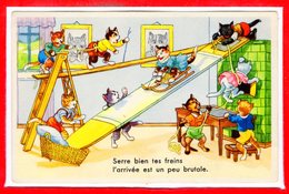 FANTAISIES - CHATS - - Katten