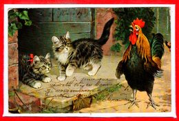 FANTAISIES - CHATS - - Katten