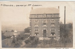 Roselies  Chateau De Mr Laurent Carte Mère Editeur Lizin 2eme Série - Aiseau-Presles