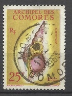 Comores    N°  24   Oblitéré  B /TB        - Gebraucht