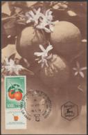 ISRAEL - 1956 Citrus Growers  (oranges) Maxicard - Tarjetas – Máxima