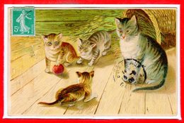 FANTAISIES - CHATS - Carte Gaufrée - Katten