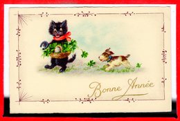 FANTAISIES - CHATS - - Katten