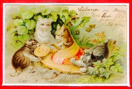 FANTAISIES - CHATS - - Katten