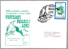 TODUS MEXICANUS. Timisoara 1992 - Mechanical Postmarks (Advertisement)