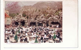 CPA MISSOURI SAINT LOUIS TYROLEAN ALPS DINING AT LUCHOW FAUST RESTAURANT RARE BELLE CARTE !! - St Louis – Missouri