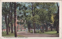 POSTCARD UNITED STATES - THE GROVE, SEASIDE PARK, BRIDGEPORT , CONN. - Bridgeport