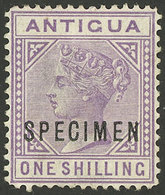 ANTIGUA: Sc.17, 1882/7 1S. Violet, With SPECIMEN Overprint, VF! - Andere & Zonder Classificatie