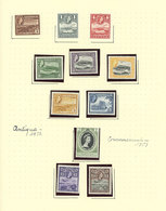 ANTIGUA: Collection On Pages With A Good Number Of VERY THEMATIC Stamps, Sets And Souvenir Sheets, Includin - Other & Unclassified