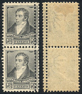 ARGENTINA: GJ.174A, Pair With Variety: DOUBLE Vertical Perforation, VF, Rare! - Altri & Non Classificati