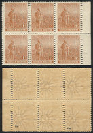 ARGENTINA: GJ.329, Block Of 6 Stamps With Variety: DOUBLE VERTICAL PERFORATION, Excellent And Spectacular! - Sonstige & Ohne Zuordnung