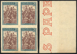 ARGENTINA: GJ.765, 20P. Cotton, Trial Color Proof, Block Of 4 Printed In The Adopted Colors On Special Paper For Sp - Autres & Non Classés