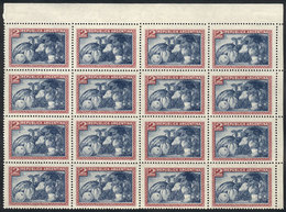ARGENTINA: GJ.779d, 2P. Fruit On National Unsurfaced Paper, Fantastic Corner Block Of 16 With Variety: DOUBLE IMPRE - Andere & Zonder Classificatie