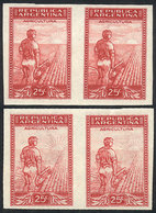 ARGENTINA: GJ.808P, 25c. Plowman, Unwatermarked, IMPERFORATE PAIR With DOUBLE IMPRESSION, One On Back On Gum, Excel - Other & Unclassified