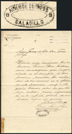 ARGENTINA: Circa 1880, Document Sent To The Justice Of The Peace Of Saladillo With Oval Handstamp "ADMON DE CORREOS - Other & Unclassified