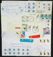 ARGENTINA: 27 Covers Used Approximately Between 1995 And 2001, All With Postages Of Stamps Of The "Birds" Issue, So - Altri & Non Classificati