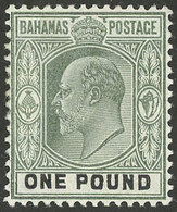 BAHAMAS: Sc.43, 1902 Edward VII 1£ Mint Lightly Hinged, VF Quality! - Other & Unclassified