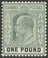 BAHAMAS: Sc.43, 1902 Edward VII 1£ Mint Lightly Hinged, VF Quality! - Altri & Non Classificati