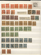 HAITI: Large Number Of Old Stamps On Stock Pages, Very Interesting Lot For The Specialist, General Qualit - Haïti