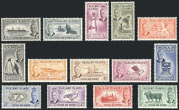 FALKLAND I.: Yv.101/114, 1952 Animals, Birds, Ships, Etc., Cmpl. Set Of 14 Values, Mint Very Lightly Hinged, VF Quali - Falkland