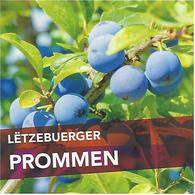 LUXEMBURG, 2018, Booklet 26, Plums In Luxemburg (prunes) - Cuadernillos