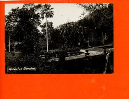 Malaysia - Waterfall Garden - Perrang Année 1934 -Malay Malaysia, PENANG, Waterfall Garden - Malaysia